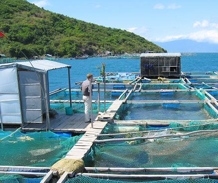 Đảm bảo nuôi trồng thủy sản đạt năng suất cao 