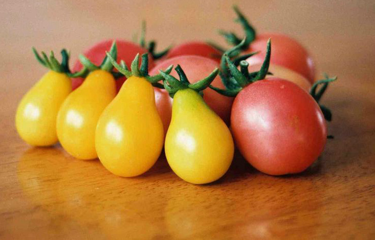 Cà chua bi hình trái lê