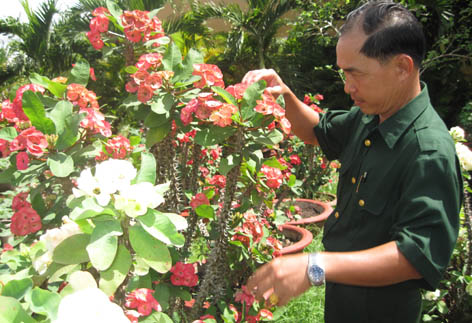 Ông Lê Đình Văn - chăm sóc vườn cây cảnh. 